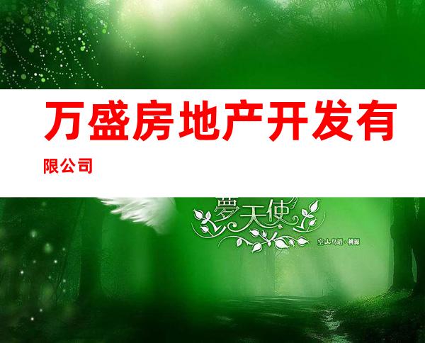 万盛房地产开发有限公司
