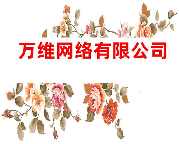 万维网络有限公司