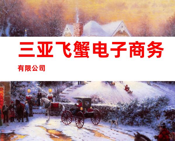 三亚飞蟹电子商务有限公司