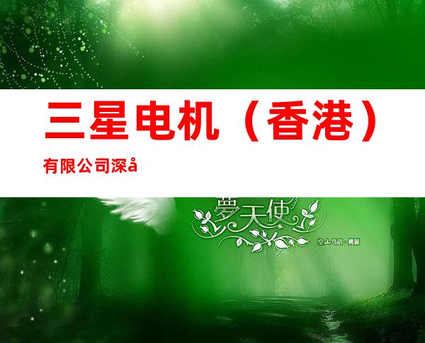三星电机(香港)有限公司深圳代表处