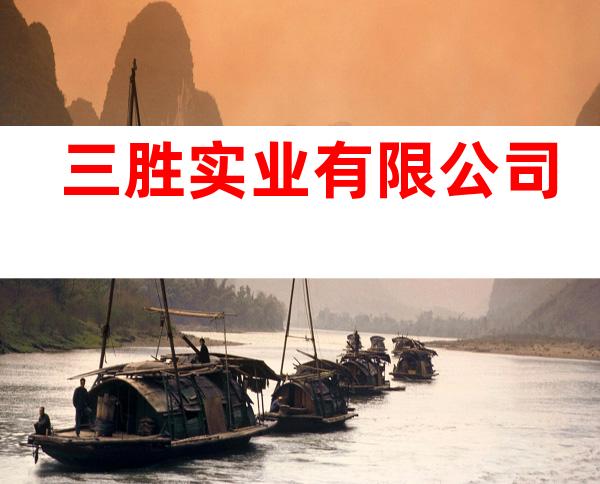 三胜实业有限公司