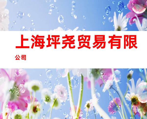 上海坪尧贸易有限公司