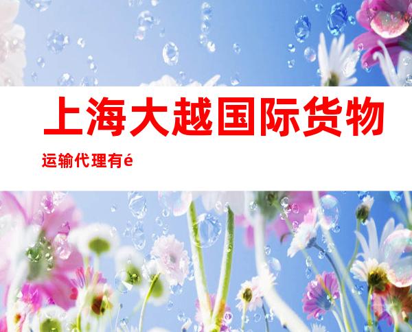 上海大越国际货物运输代理有限公司深圳分公司