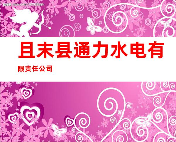 且末县通力水电有限责任公司