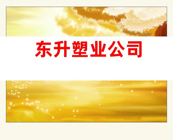 东升塑业公司