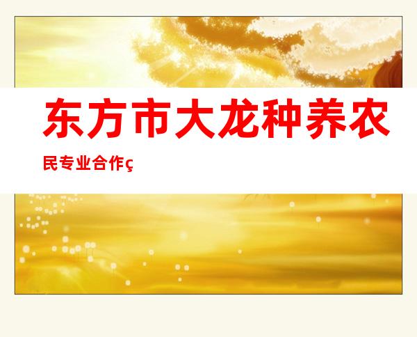 东方市大龙种养农民专业合作社