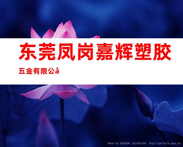 东莞凤岗嘉辉塑胶五金有限公司