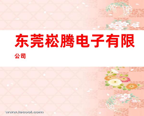 东莞崧腾电子有限公司