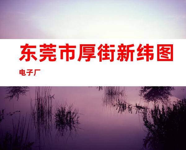东莞市厚街新纬图电子厂