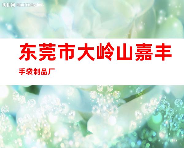 东莞市大岭山嘉丰手袋制品厂