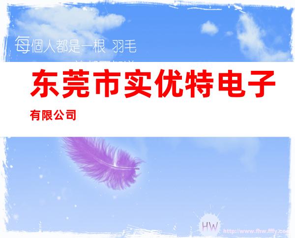 东莞市实优特电子有限公司