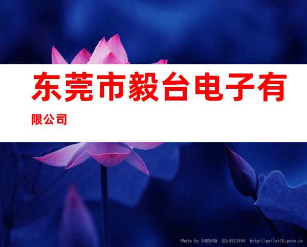 东莞市毅台电子有限公司