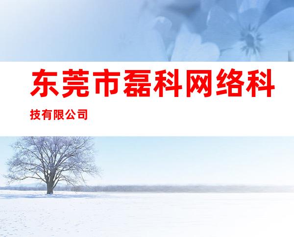 东莞市磊科网络科技有限公司