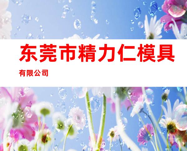 东莞市精力仁模具有限公司