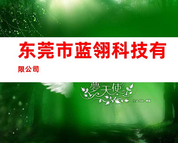 东莞市蓝翎科技有限公司