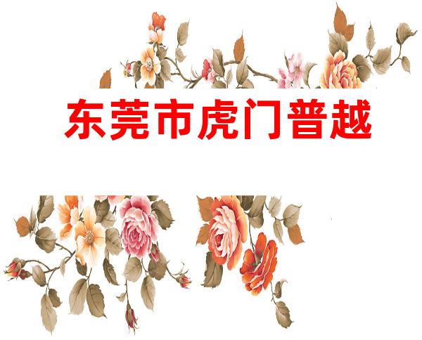 东莞市虎门普越