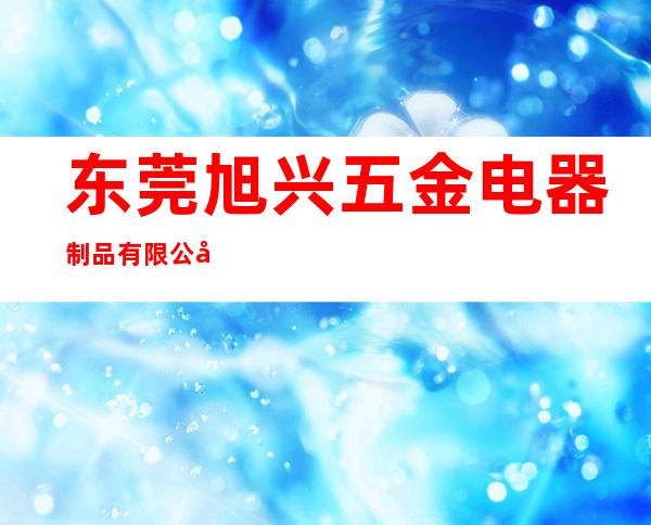 东莞旭兴五金电器制品有限公司