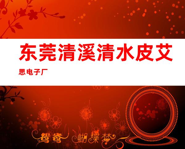 东莞清溪清水皮艾思电子厂
