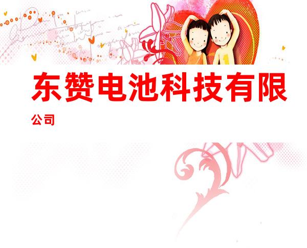 东赞电池科技有限公司