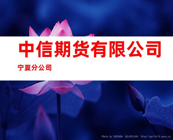 中信期货有限公司宁夏分公司
