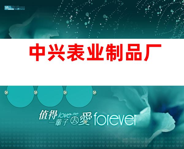 中兴表业制品厂