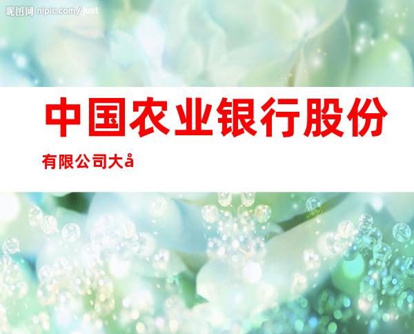 中国农业银行股份有限公司大庆兴化支行