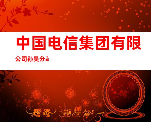 中国电信集团有限公司孙吴分公司