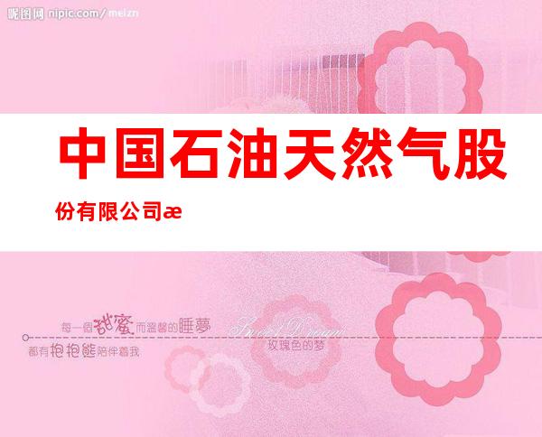 中国石油天然气股份有限公司新疆乌鲁木齐销售分公司北大路加油站