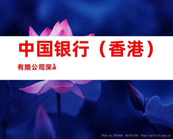 中国银行(香港)有限公司深圳分行