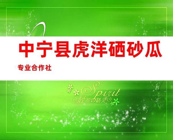 中宁县虎洋硒砂瓜专业合作社