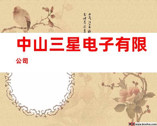 中山三星电子有限公司