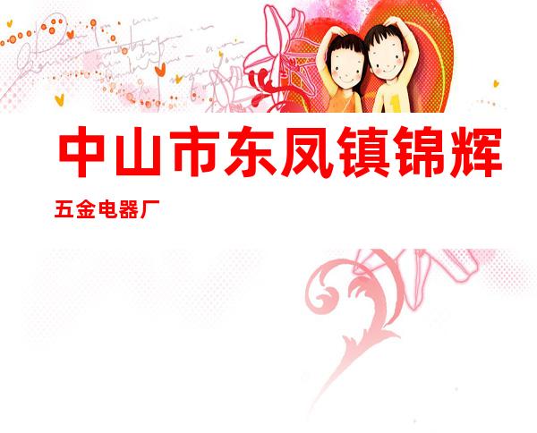 中山市东凤镇锦辉五金电器厂