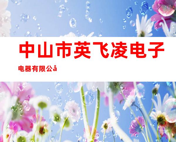 中山市英飞凌电子电器有限公司