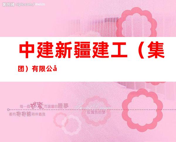 中建新疆建工(集团)有限公司