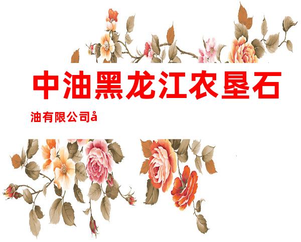 中油黑龙江农垦石油有限公司南横林子第一加油站