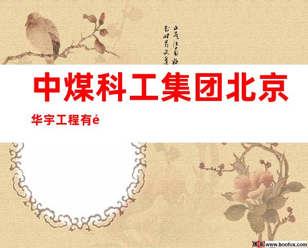 中煤科工集团北京华宇工程有限公司新疆分公司