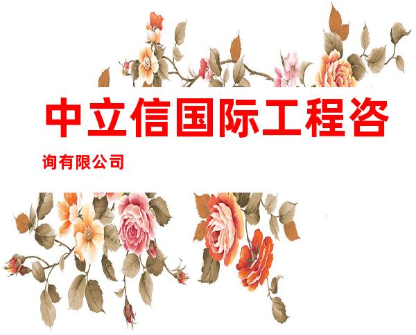 中立信国际工程咨询有限公司