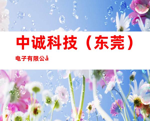 中诚科技(东莞)电子有限公司
