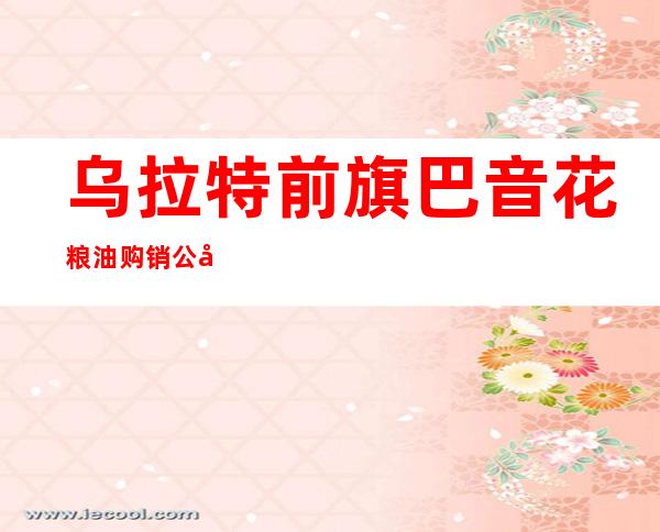 乌拉特前旗巴音花粮油购销公司