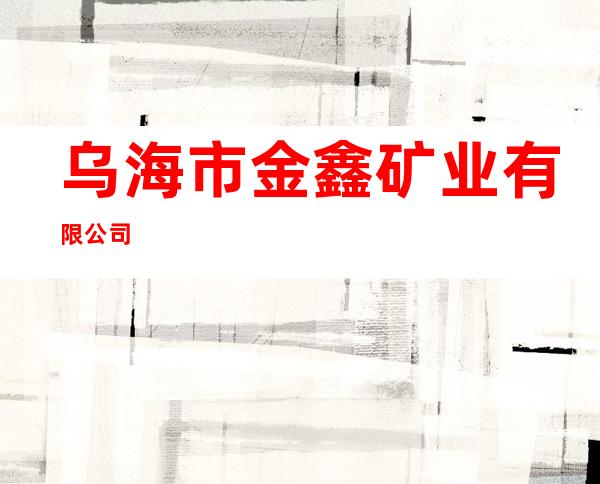 乌海市金鑫矿业有限公司