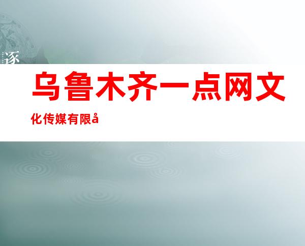乌鲁木齐一点网文化传媒有限公司