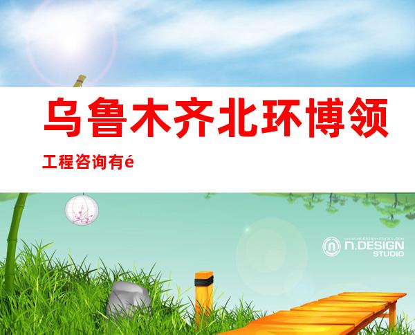 乌鲁木齐北环博领工程咨询有限公司
