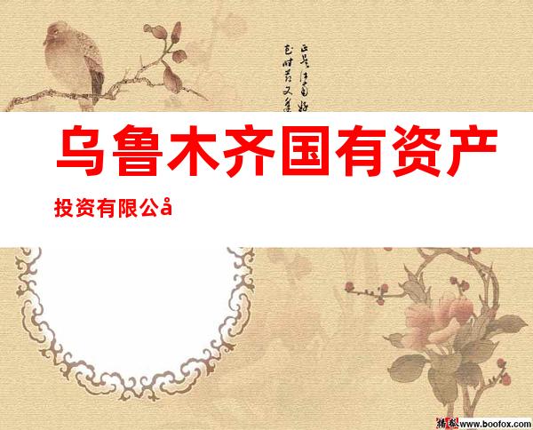乌鲁木齐国有资产投资有限公司