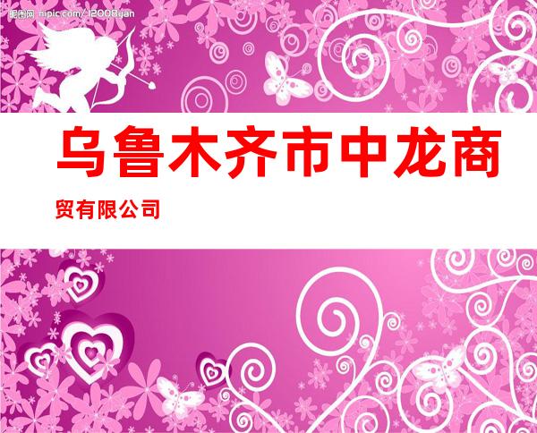 乌鲁木齐市中龙商贸有限公司
