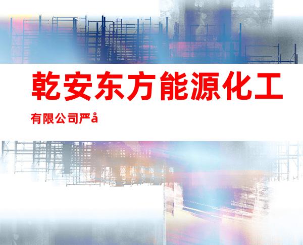 乾安东方能源化工有限公司严字加油站
