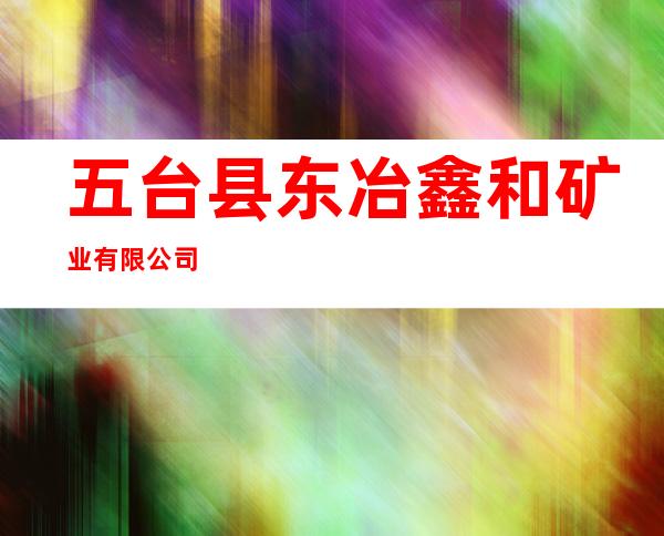 五台县东冶鑫和矿业有限公司