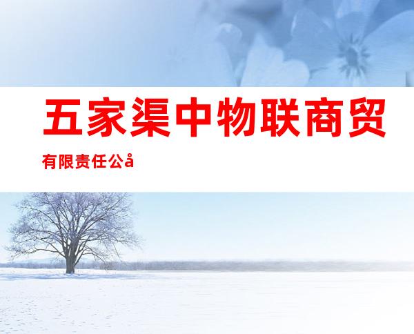 五家渠中物联商贸有限责任公司