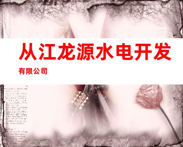 从江龙源水电开发有限公司