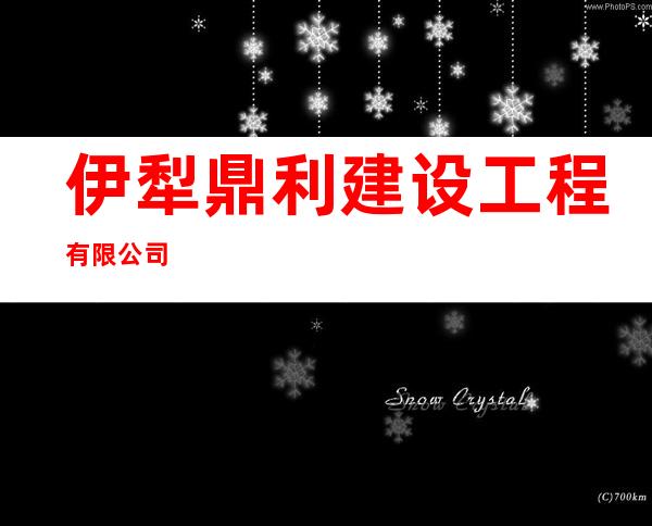 伊犁鼎利建设工程有限公司