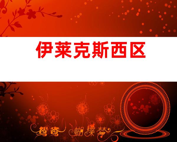 伊莱克斯西区